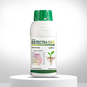 Estectra - ZXG
