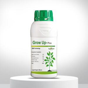 Grow Up = Plus